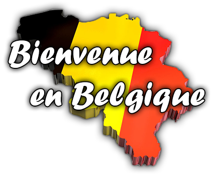 Все о визе в Бельгию