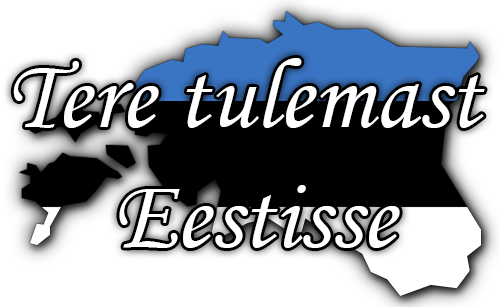 Все о визе в Эстонию - Tere tulemast Eestisse