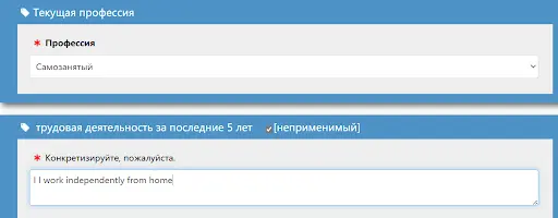 Сведения о занятости заявителя в анкете на туристическую визу в Китай